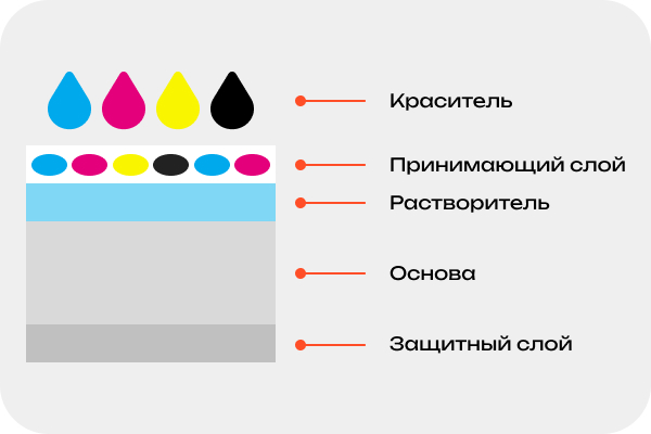 Состав фотобумаги Состав фотобумаги